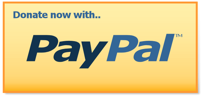 donazione paypal - Come ricevere donazioni sul sito internet